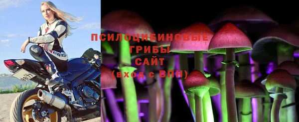 стафф Горняк