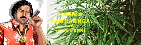 PSILOCYBIN Алексеевка