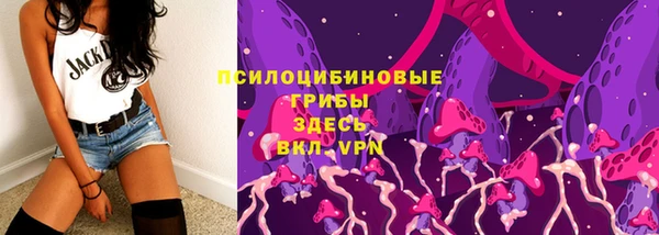 сатива Алексин